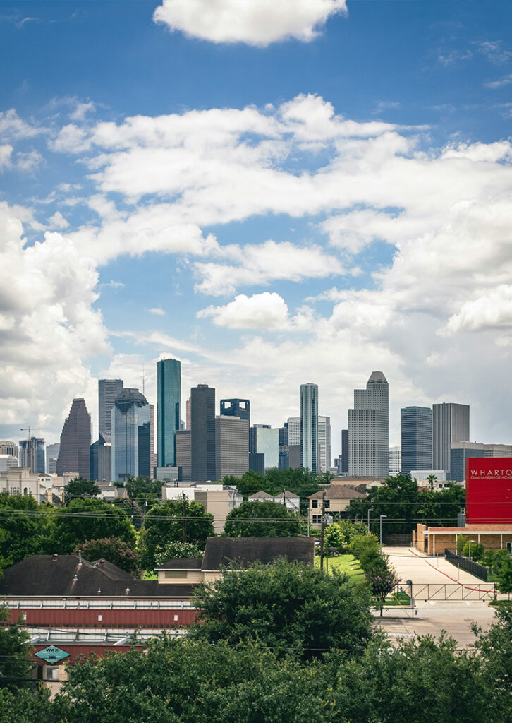 IT GOAT Houston IT Support Managed Services